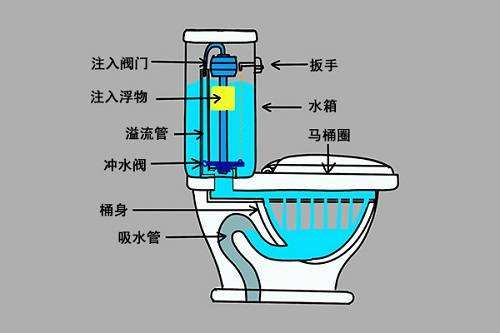 马桶的整体架构组成部分